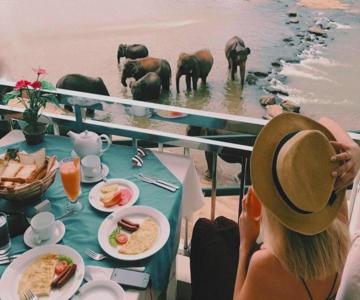 Hotel Elephant Park - NEW DEAL! Exclusive Offers on Pickups Available!