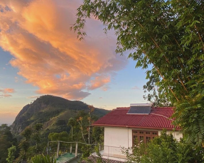 Maple home stay and cottage