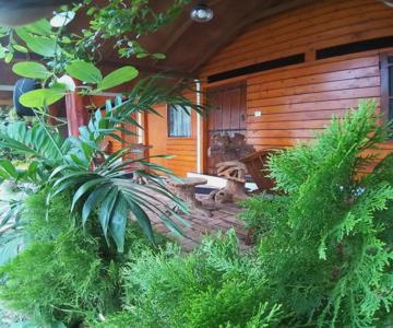 Dot's Bey Beach Cabana