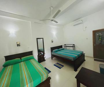 Rainforest Eco Hostel