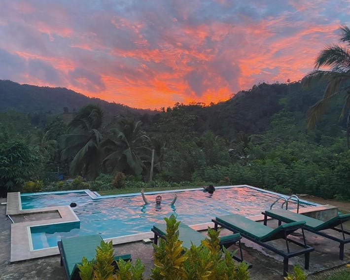 Rainforest Mount Lodge