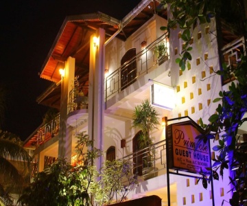 Primrose Guest house