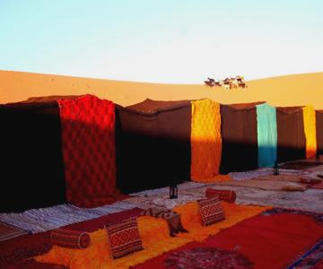 Palmeras y Dunas