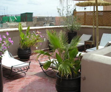 Riad Zenithya