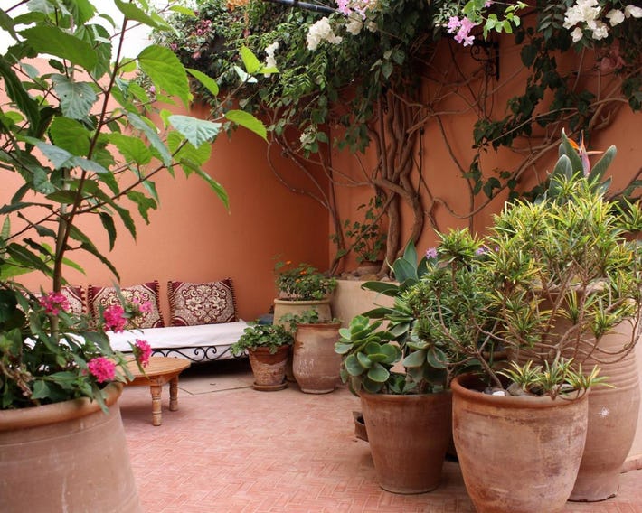 Tilily Home And Garden