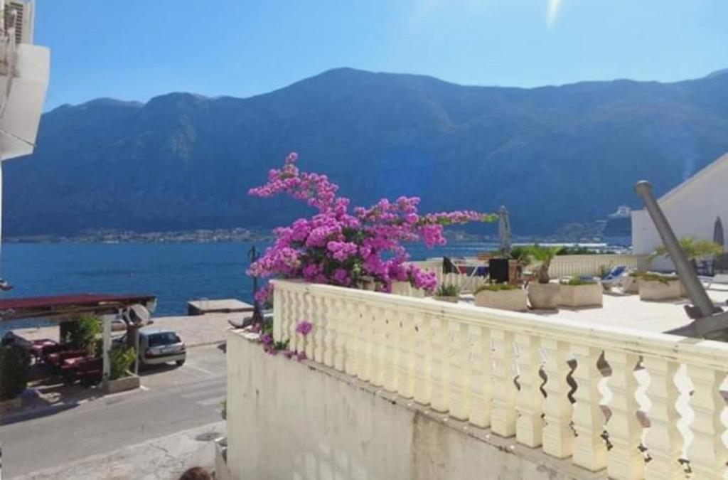 Apartments Vila Marija