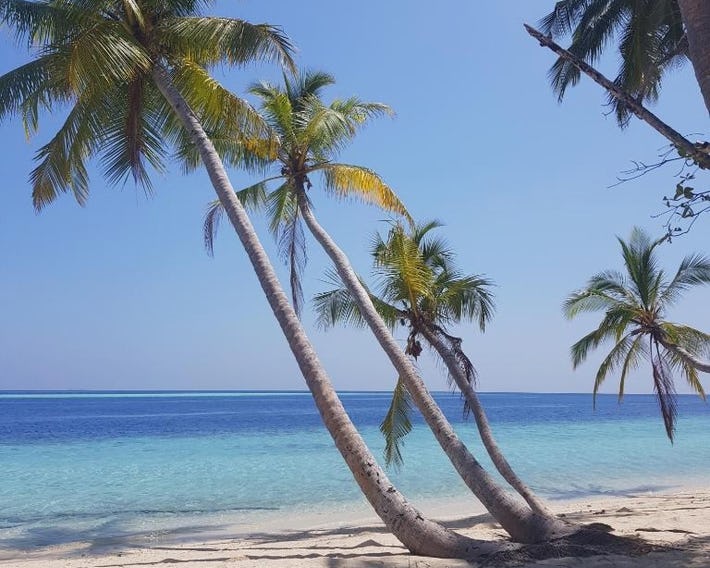 Vaali Maldives Island Escapes & Dive