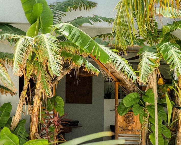 Dhiffushi Inn