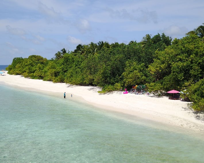Beach Veli