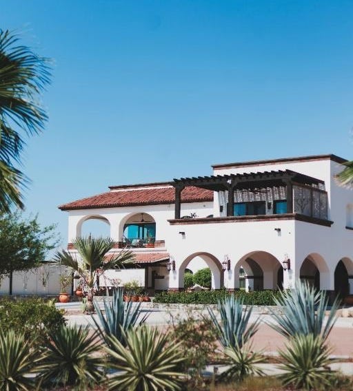 Orchid House Baja