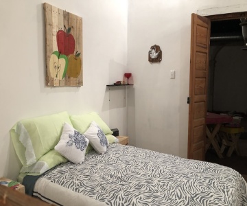 La Casa De Las Hortensias