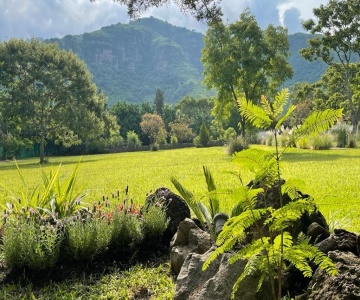 Paraje Real Malinalco
