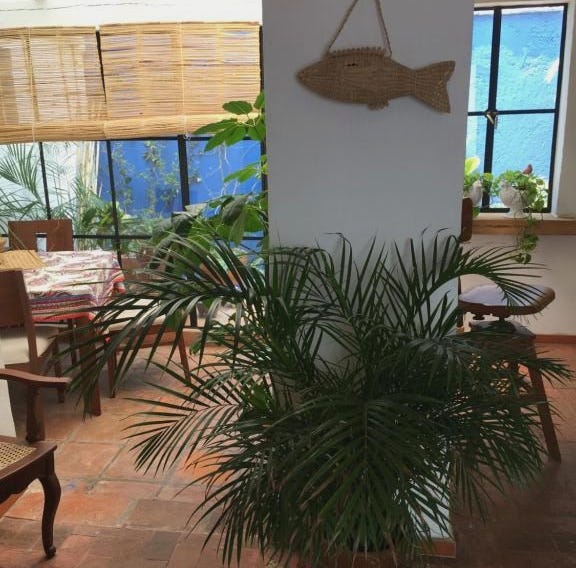Casa Molcajete