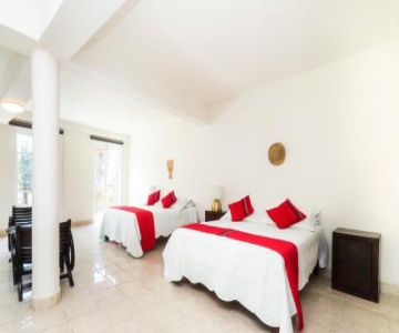 Hotel Real D'Reginas