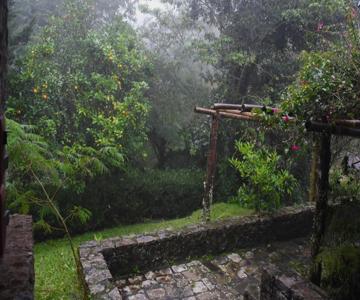 Finca Don Porfirio