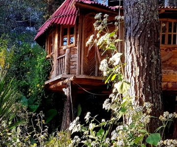 Cabanas Campamento Tlatempa