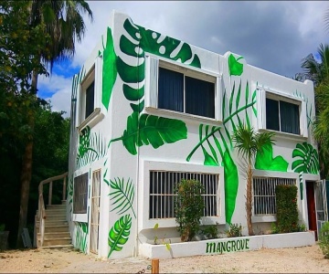 Mangrove Inn