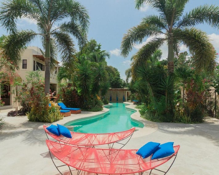 Blue Palm