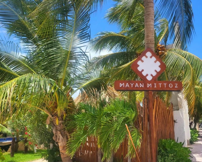 Mayan Mittoz