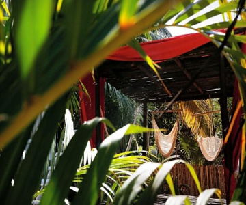 Casa Selva De Luz
