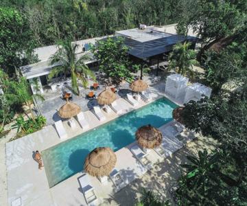 Jungle Lodge Boutique Hotel