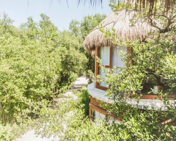 Mamasan Treehouses & Cabins