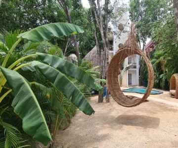 Loto Tulum