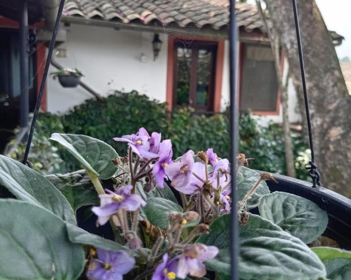 Hotel Boutique Casabella