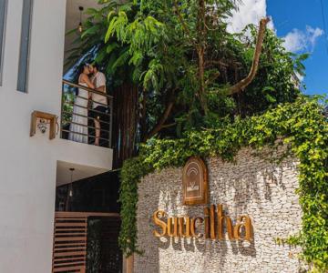 Suucilha