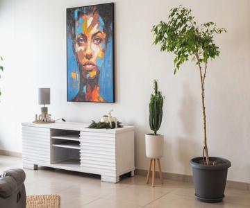 Bella Luna BnB