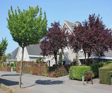 B&B Magnolia