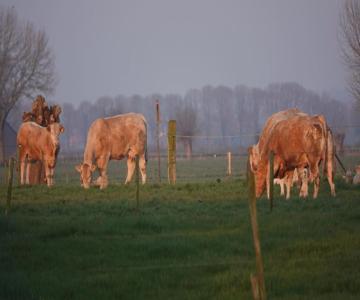 B&B Bij Bronckhorst
