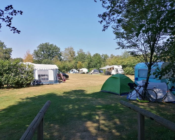 Camping T Bosch