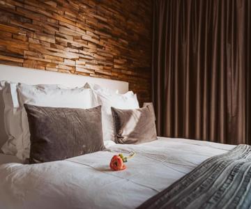 B&B Bleiswijk