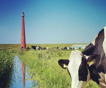 Overnachten Onder De Lange Jaap