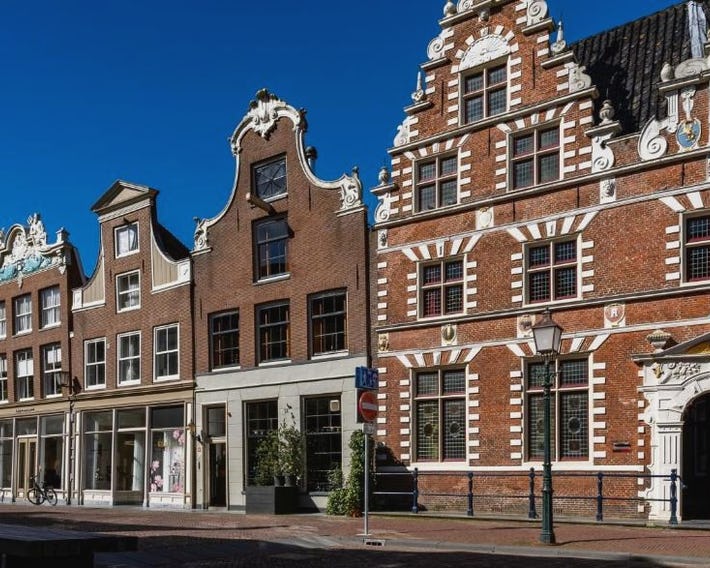 De Ginkgo in het hart van Hoorn