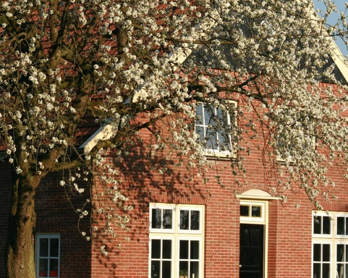 B&B Erve ten Dam