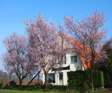 B&B Sagenland
