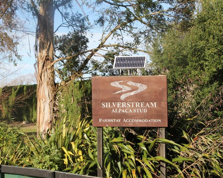 Silverstream Alpaca Farmstay