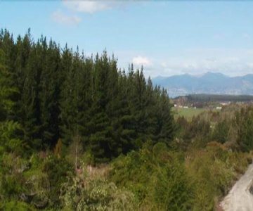 Mapua Chalets
