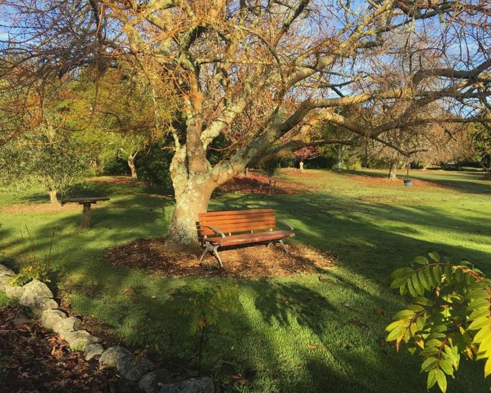 Kerikeri Garden Homestead