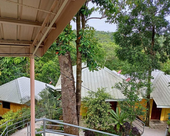 Woodland Inn