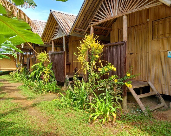 Banana Grove El Nido