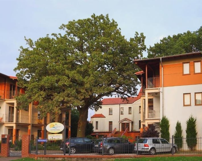 Rezydencja 5 Debów