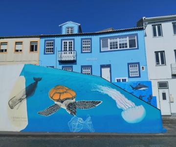 Seastar Nº38