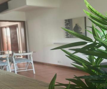 AZORES PEDRA APARTMENTS - T0 e T1
