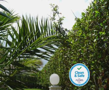 Azores Garden House - Private Suites & Apartments - Automatic Self Check-in