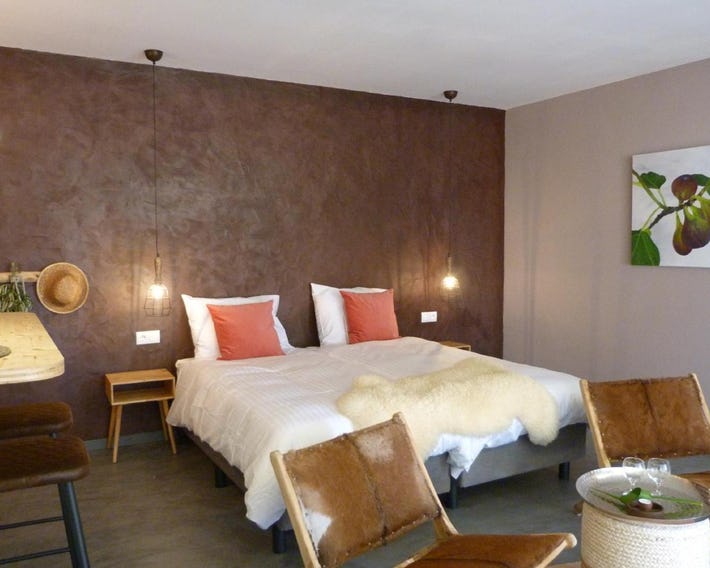 Trendy And Luxe Bed & Breakfast