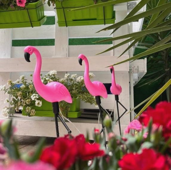 Casa Flamingo