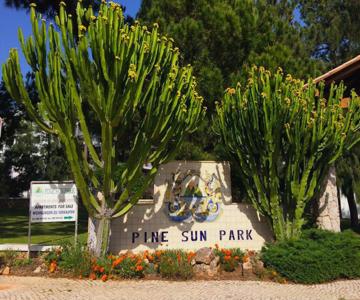 Pine Sun Park - Durcosa